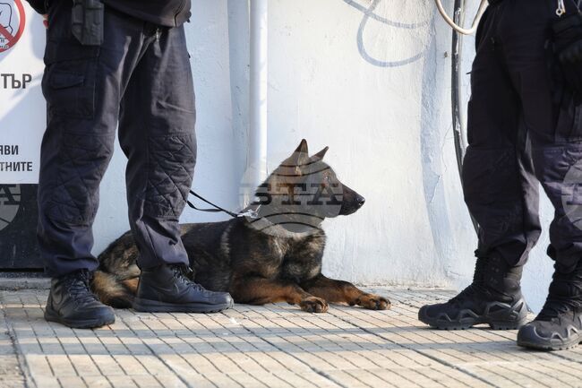 Два сака и чувал с марихуана са открити в избено помещение в жилищен блок в Бургас 