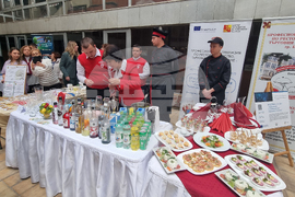 Плевен - изложение - училища