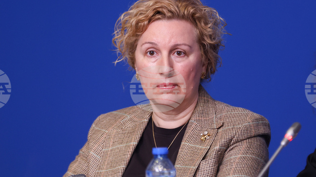 Бизнесът у нас плаща от 2 до 90 пъти по-високи такси за соларни панели и литиево-йонни батерии спрямо други държави в ЕС, каза Меглена Русинова 