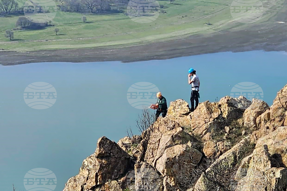 Село Широко поле - спасяване - овце