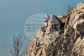 Село Широко поле - спасяване - овце