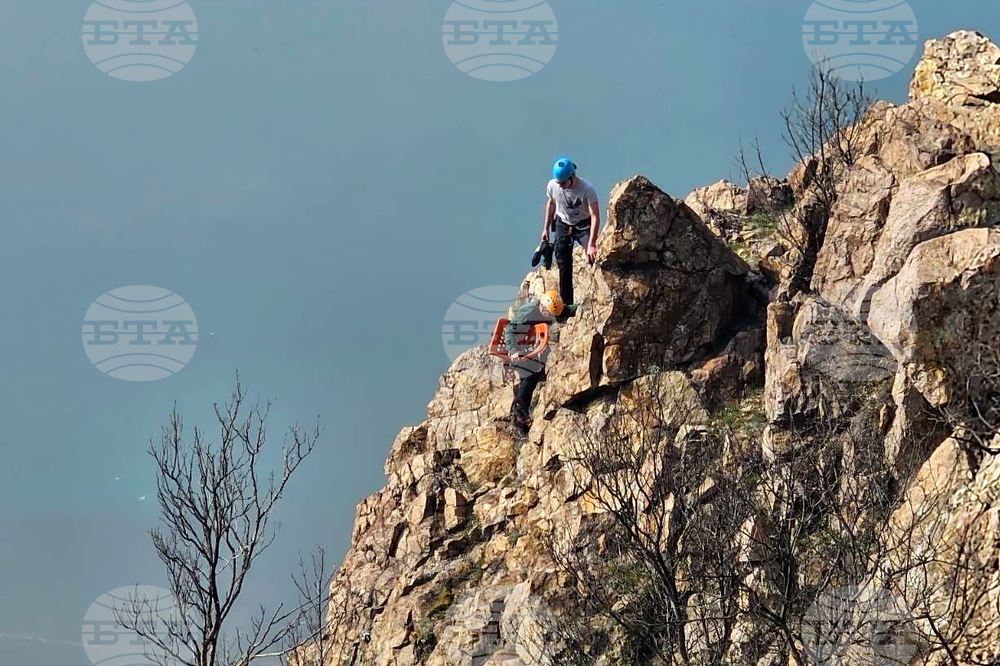 Село Широко поле - спасяване - овце