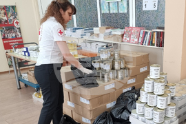 Пловдив - Български червен кръст - хранителни пакети