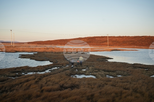 Climate Winter Weather Ice Deaths