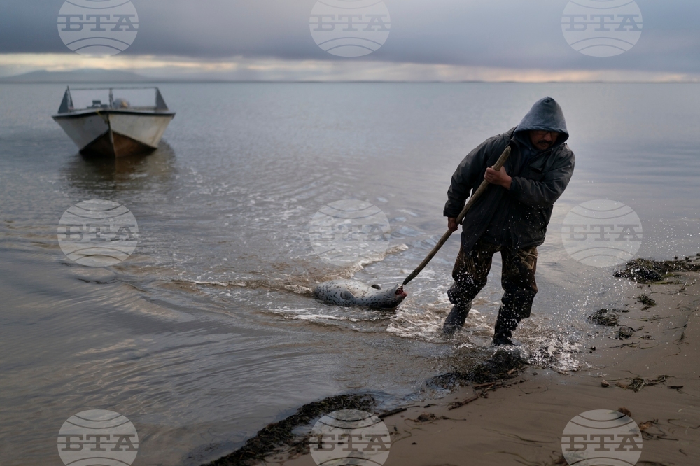 Climate Winter Weather Ice Deaths