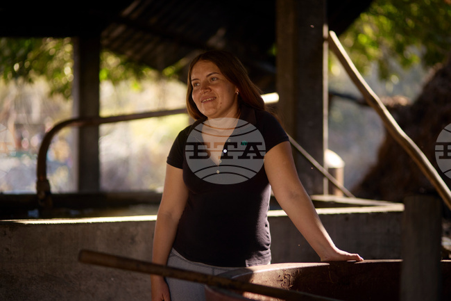 Climate Mexico Mezcal Photo Gallery