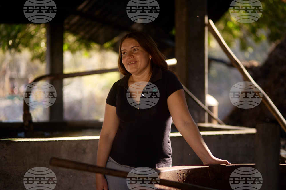 Climate Mexico Mezcal Photo Gallery