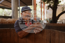 Climate Mexico Mezcal Photo Gallery