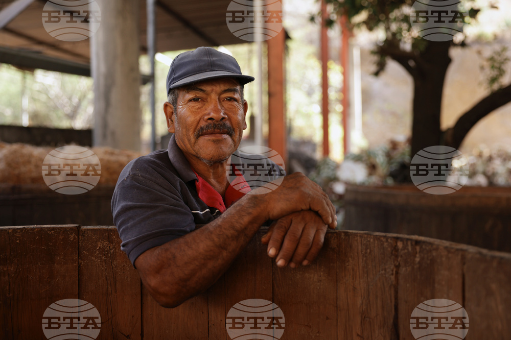 Climate Mexico Mezcal Photo Gallery