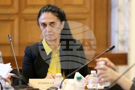 Народно събрание - Комисия по демографската политика