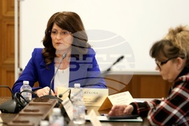 Народно събрание - Комисия по демографската политика