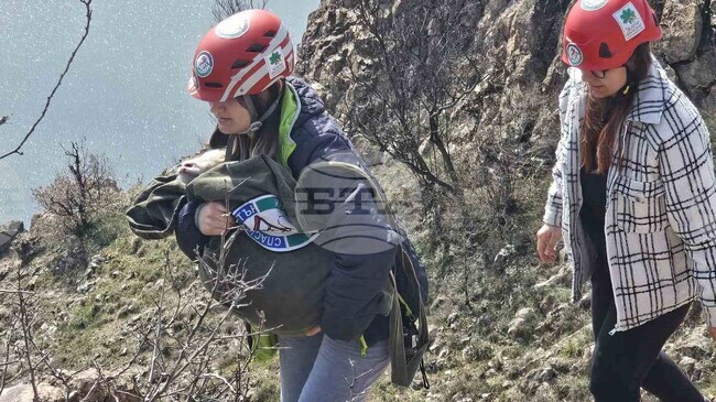 С две спасени животни приключи акцията на доброволците край кърджалийското село Широко поле