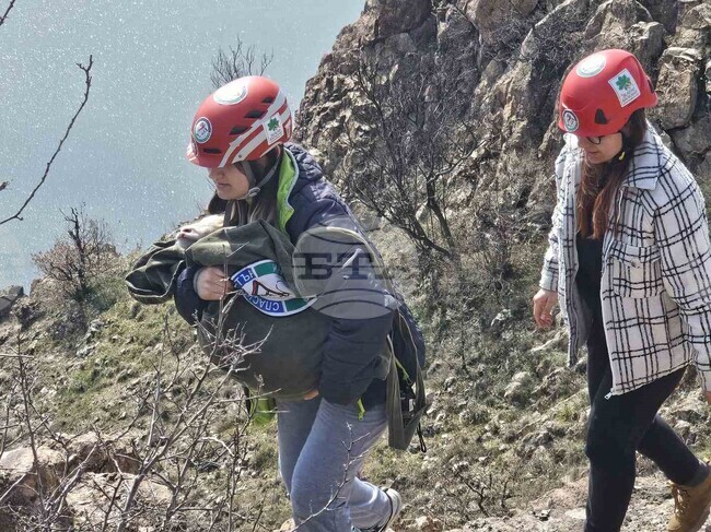 С две спасени животни приключи акцията на доброволците край кърджалийското село Широко поле
