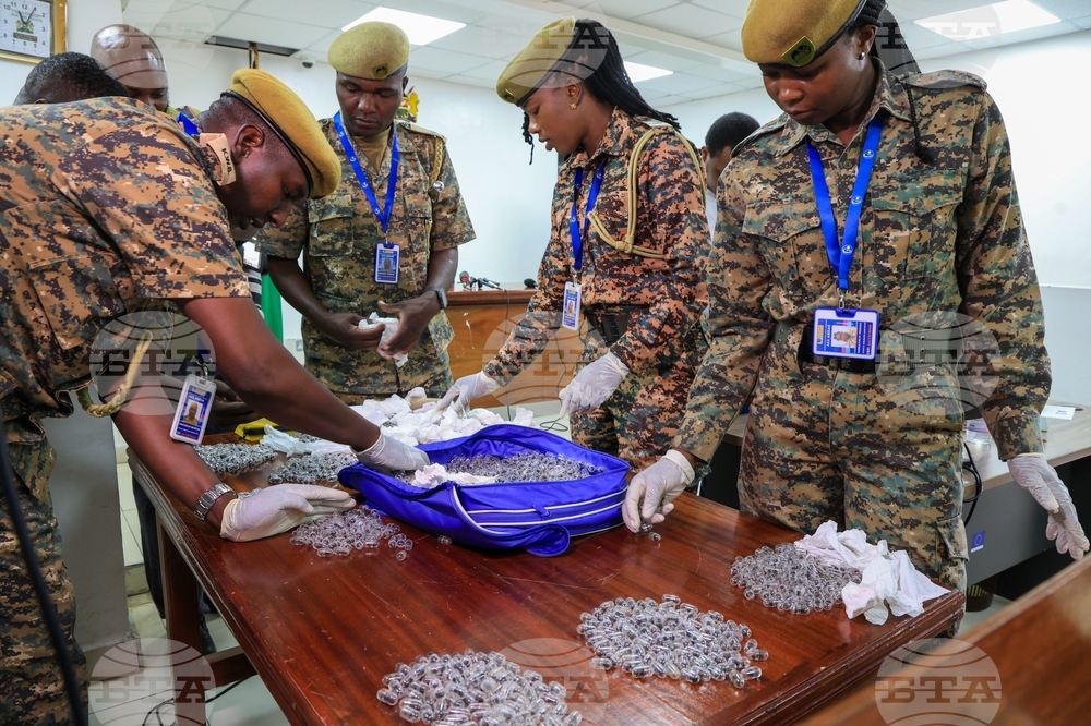 Kenya Ant Trafficking