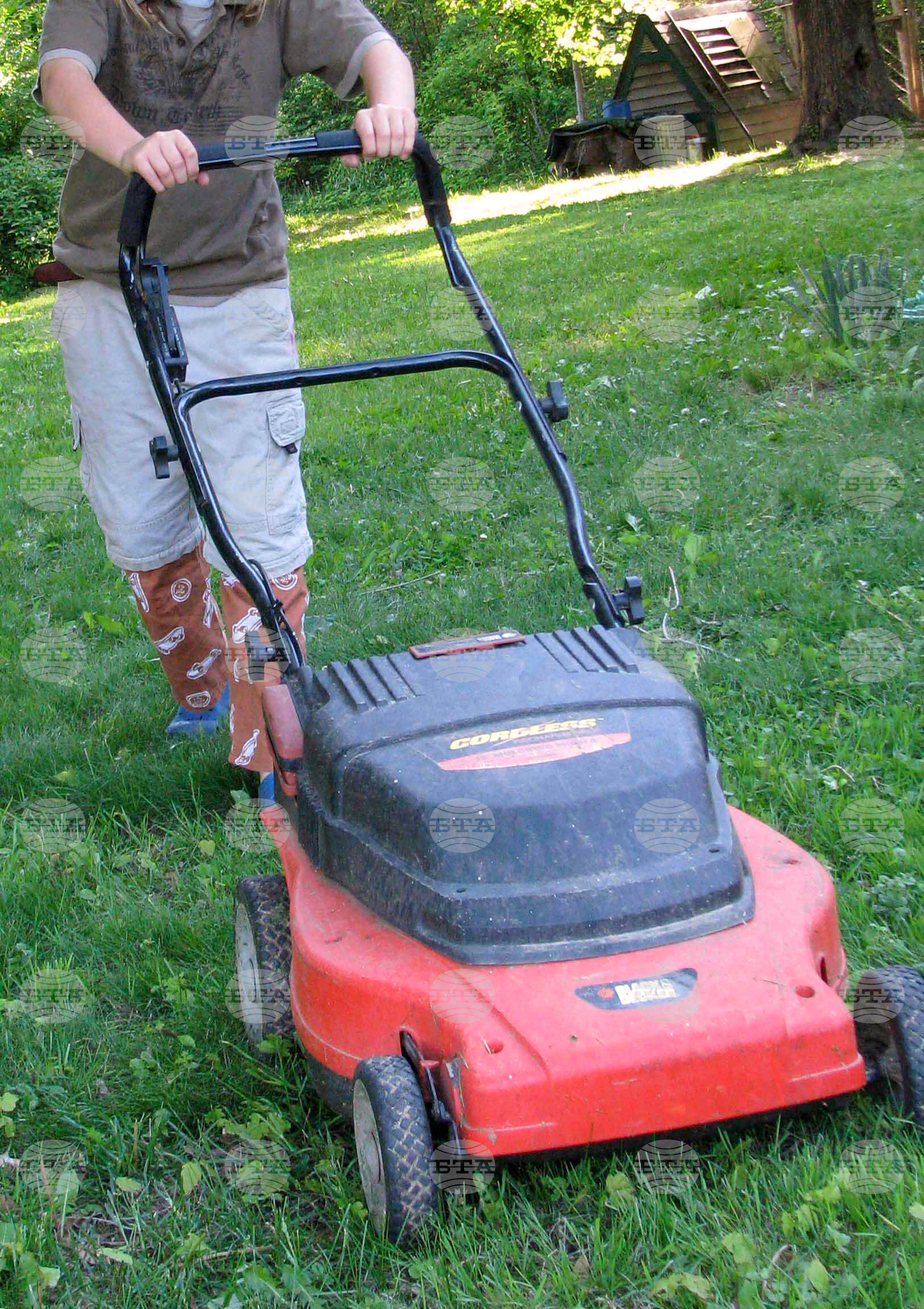 Gardening-Creative Reuse