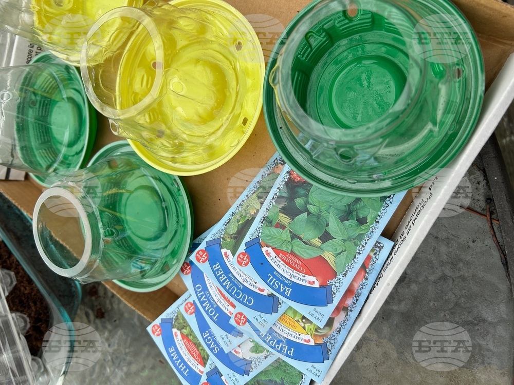 Gardening-Creative Reuse