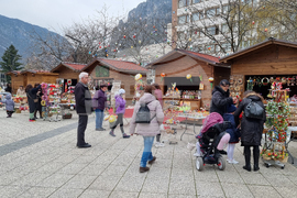 Враца - Лазаровден