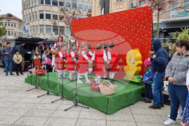 Враца - Лазаровден