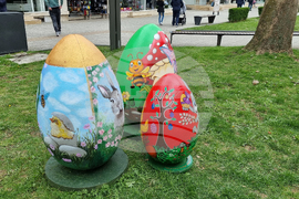 Враца - Лазаровден