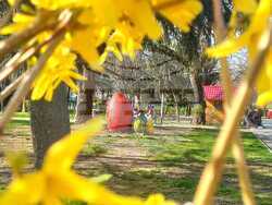 Снимка: Община Благоевград