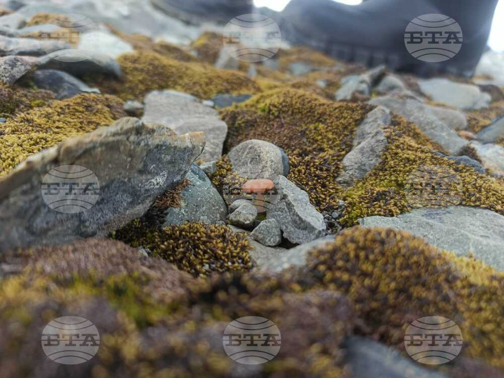 Антарктика през погледа на екипажа на НИК 421 - Димитър Бахчеванов