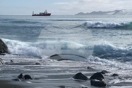 Антарктика през погледа на екипажа на НИК 421 - Николай Славов