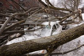 Severe Weather Canada