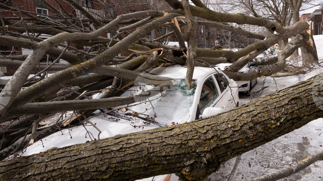 Червен код за лошо време е обявен в части от Хърватия днес