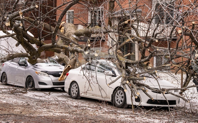 Над 1700 интервенции са извършени в Хърватия в последните 24 часа във връзка със силните бури