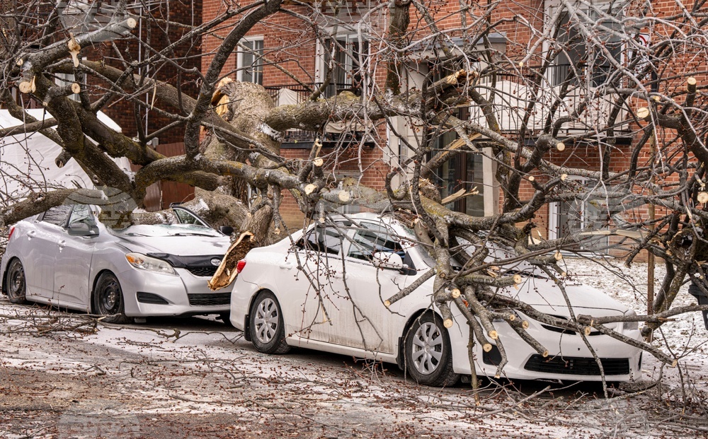 Severe Weather Canada