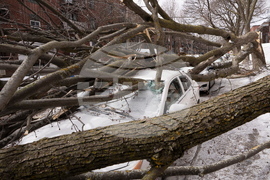 Severe Weather Canada
