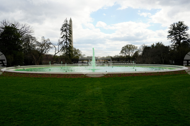 Washington St. Patrick's Day