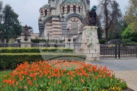 Плевен - Великденска украса - лалета
