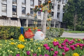 Плевен - Великденска украса - лалета