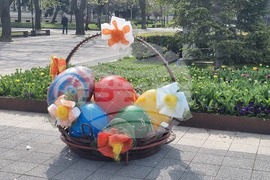 Плевен - Великденска украса - лалета