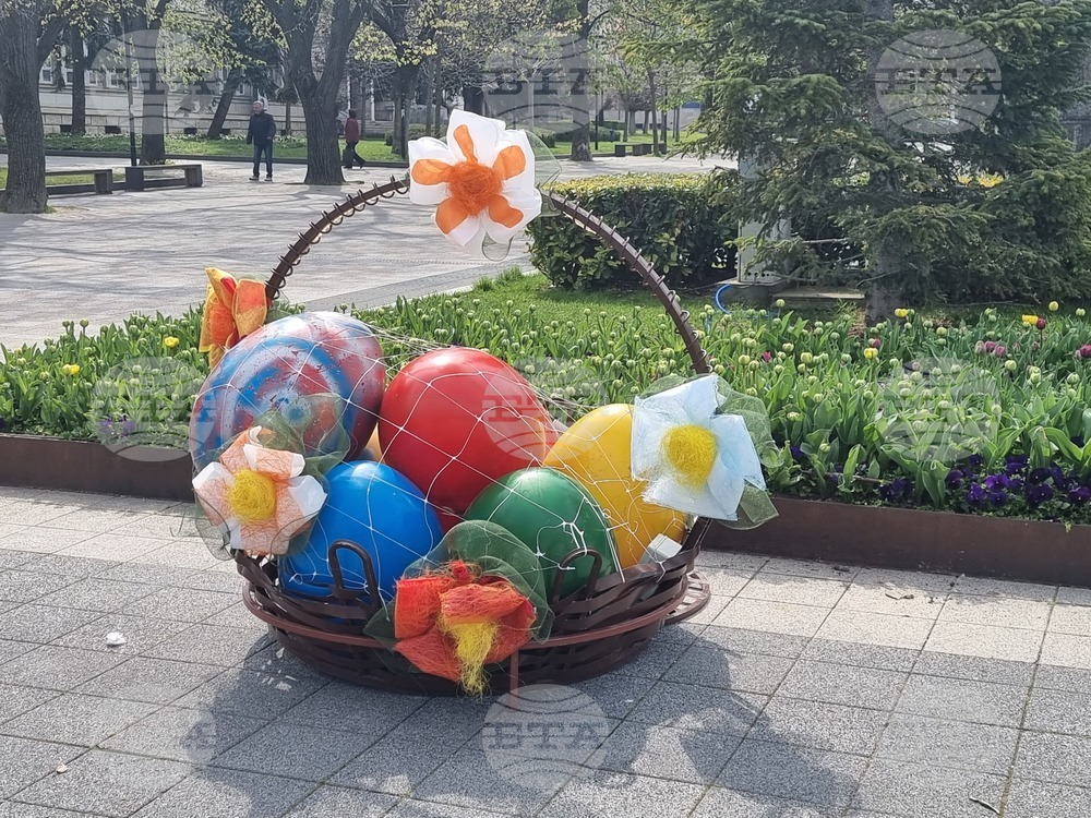 Плевен - Великденска украса - лалета