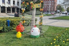 Плевен - Великденска украса - лалета