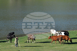 Село Старо селище - всекидневие - водопой