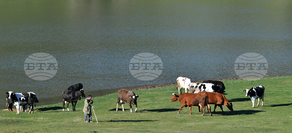 Село Старо селище - всекидневие - водопой
