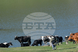 Село Старо селище - всекидневие - водопой