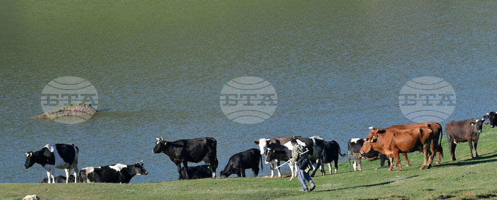 Село Старо селище - всекидневие - водопой