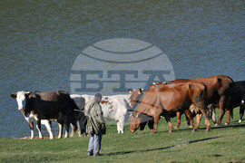 Село Старо селище - всекидневие - водопой