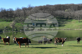 Село Старо селище - всекидневие - водопой