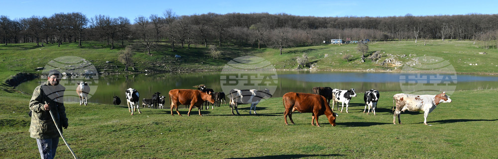 Село Старо селище - всекидневие - водопой