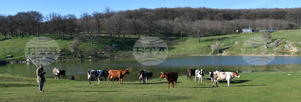 Село Старо селище - всекидневие - водопой
