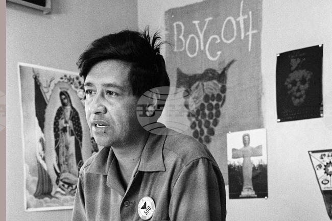 Cesar Chavez Celebrations