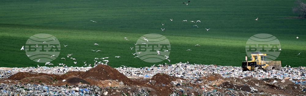 Село Ясеновец - депо за отпадъци - птици