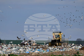 Село Ясеновец - депо за отпадъци - птици