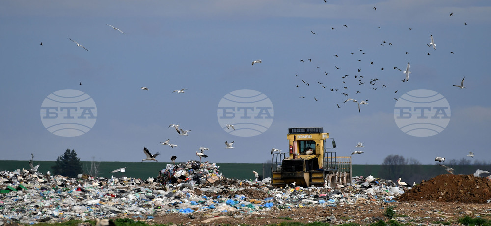 Село Ясеновец - депо за отпадъци - птици