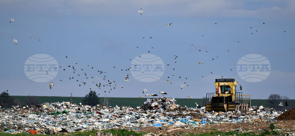 Село Ясеновец - депо за отпадъци - птици